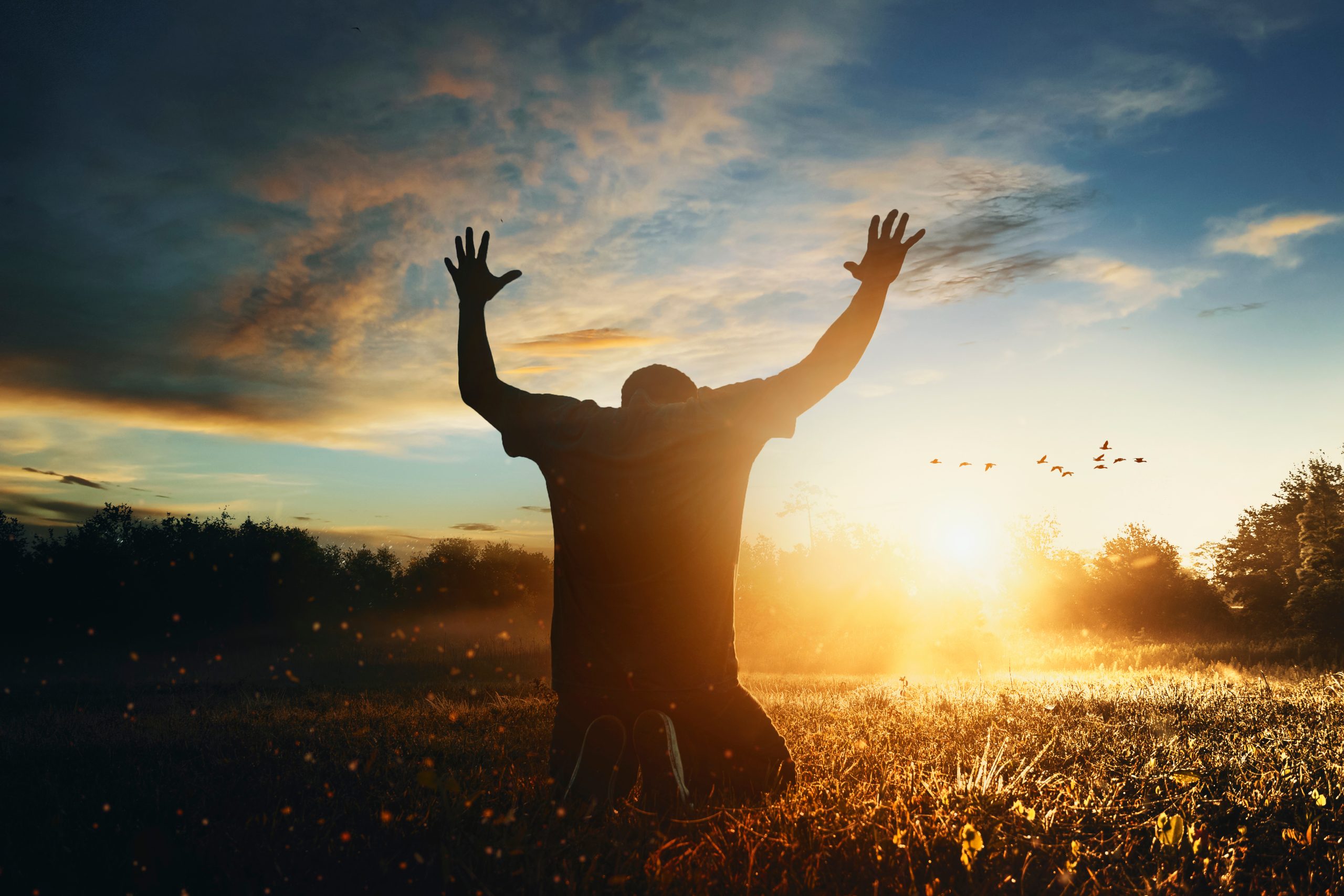 blogs-prayer-chronicles